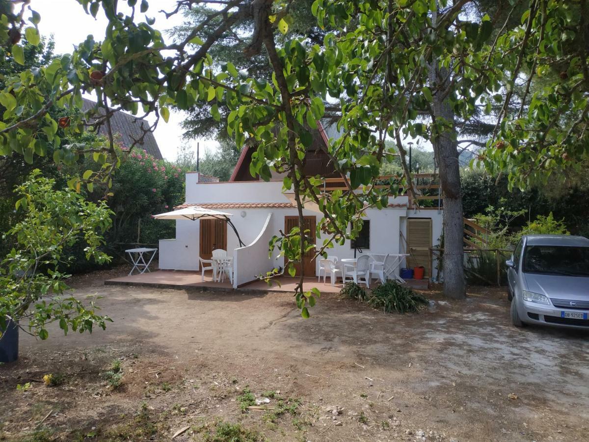 Villino Del Duca Apartment Peschici Exterior photo